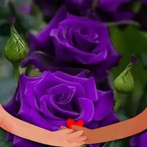 Meet your Posher, Debby